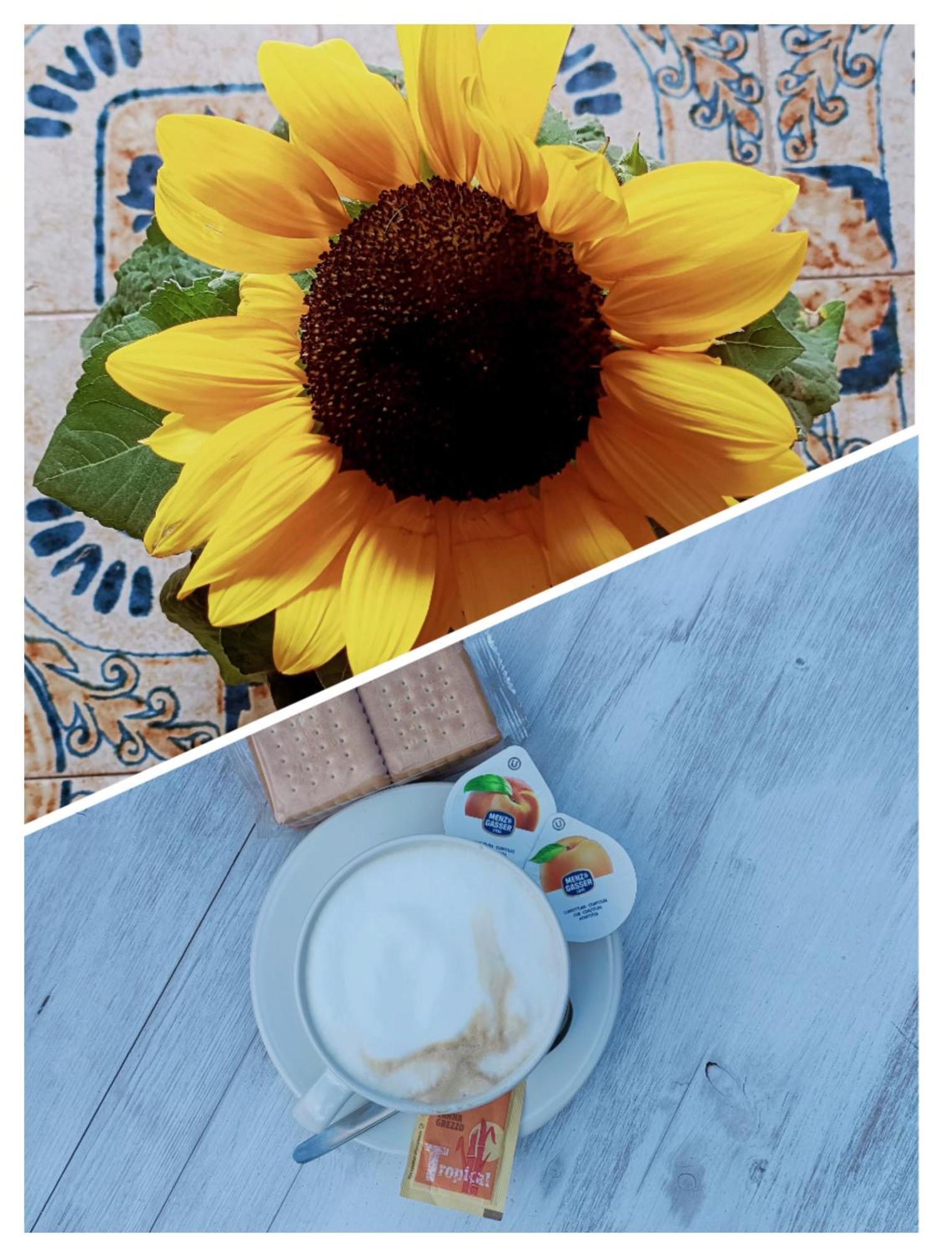 B&B Il Girasole Finale Ligure Eksteriør billede